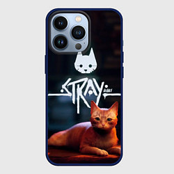 Чехол iPhone 13 Pro Stray: Бродячий кот