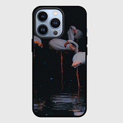 Чехол iPhone 13 Pro Фламинго - вода