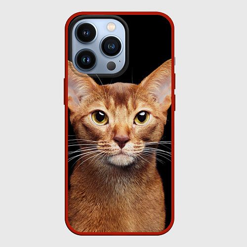 Чехол iPhone 13 Pro Молодая абиссинская кошечка / 3D-Красный – фото 1