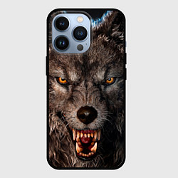 Чехол для iPhone 13 Pro Морда злого волка, цвет: 3D-черный