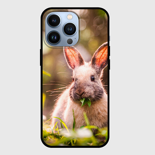 Чехол iPhone 13 Pro Милый кролик / 3D-Черный – фото 1