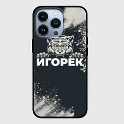 Чехол для iPhone 13 Pro Игорёк зубастый волк, цвет: 3D-черный