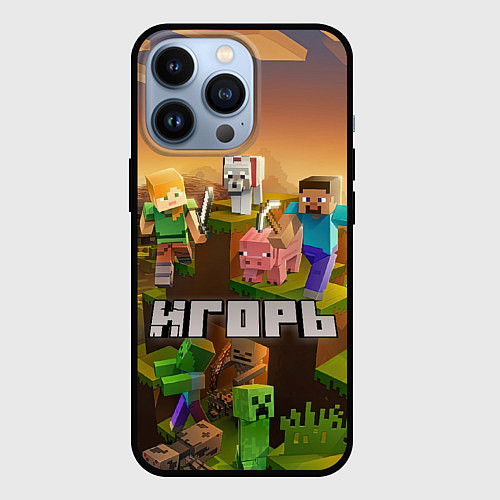 Чехол iPhone 13 Pro Игорь Minecraft / 3D-Черный – фото 1