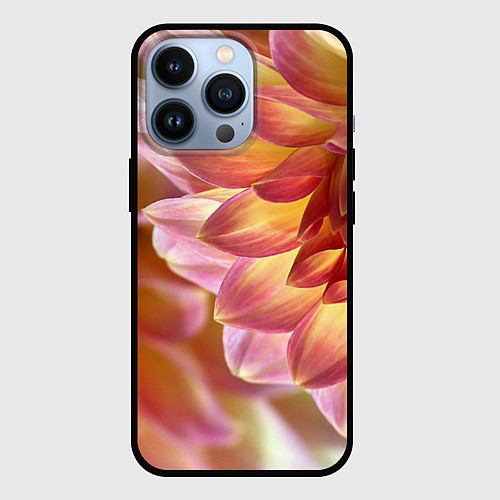 Чехол iPhone 13 Pro Оранжевые георгины лепестки / 3D-Черный – фото 1