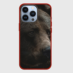 Чехол iPhone 13 Pro Медведь