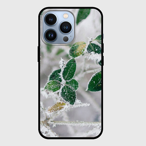 Чехол iPhone 13 Pro Green winter / 3D-Черный – фото 1