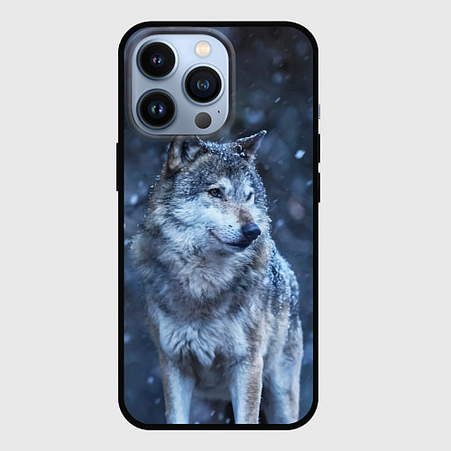 Чехол iPhone 13 Pro Лесной волк / 3D-Черный – фото 1