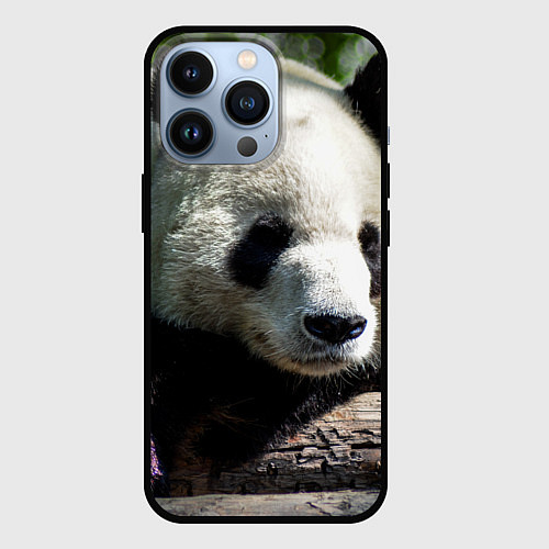 Чехол iPhone 13 Pro Пандa / 3D-Черный – фото 1