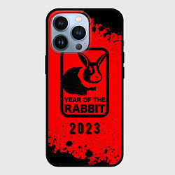 Чехол iPhone 13 Pro 2023 Кролик в рамочке