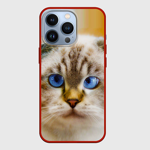 Чехол iPhone 13 Pro Кошка породы шотландская вислоухая косоглазая / 3D-Красный – фото 1
