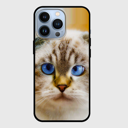 Чехол iPhone 13 Pro Кошка породы шотландская вислоухая косоглазая / 3D-Черный – фото 1