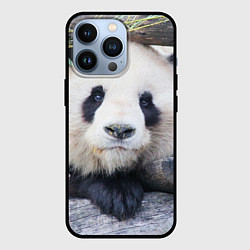 Чехол для iPhone 13 Pro Панда отдыхает, цвет: 3D-черный