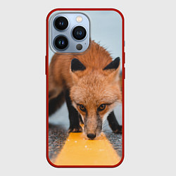 Чехол iPhone 13 Pro Лиcа на трассе