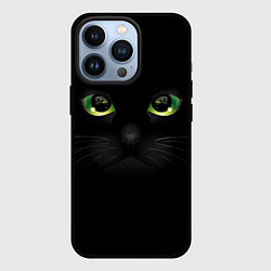 Чехол для iPhone 13 Pro Черную кошку совсем не интересует, цвет: 3D-черный