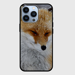 Чехол iPhone 13 Pro Лис в снегу