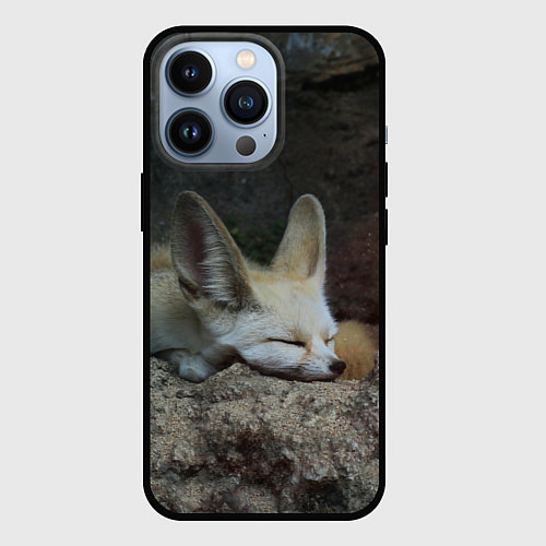 Чехол iPhone 13 Pro Фенек / 3D-Черный – фото 1