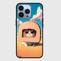 Чехол для iPhone 13 Pro Мемный кот в хлебе, цвет: 3D-черный