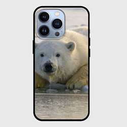 Чехол для iPhone 13 Pro Белый медведь ожидает, цвет: 3D-черный