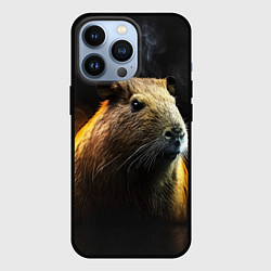 Чехол для iPhone 13 Pro Капибара и дым, цвет: 3D-черный