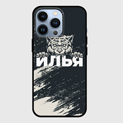 Чехол iPhone 13 Pro Илья зубастый волк