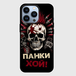 Чехол iPhone 13 Pro Панки хой череп