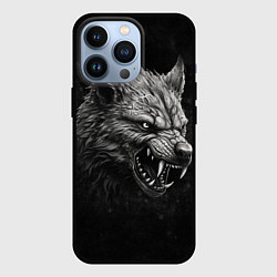 Чехол для iPhone 13 Pro Волк - grunge style, цвет: 3D-черный