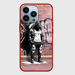 Чехол для iPhone 13 Pro Dude capybara - Bronx - graffiti, цвет: 3D-красный