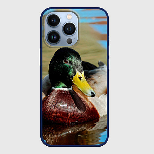 Чехол iPhone 13 Pro Утка Кряква - селезень / 3D-Тёмно-синий – фото 1