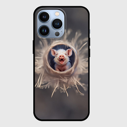 Чехол iPhone 13 Pro Мордочка забавного поросёнка / 3D-Черный – фото 1