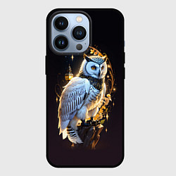 Чехол iPhone 13 Pro Снежная сова