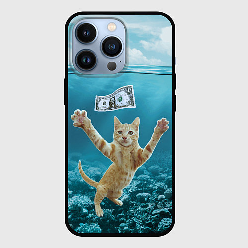Чехол iPhone 13 Pro Nirvana Cat / 3D-Черный – фото 1
