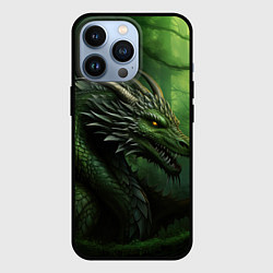 Чехол для iPhone 13 Pro Зеленый дракон символ 2024, цвет: 3D-черный