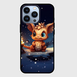 Чехол iPhone 13 Pro Маленький дракон и огонька