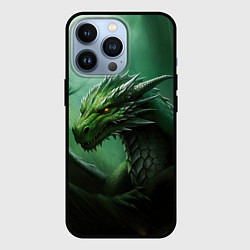Чехол для iPhone 13 Pro Лесной зеленый дракон символ 2024, цвет: 3D-черный