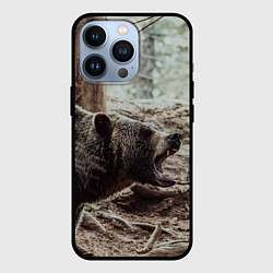 Чехол iPhone 13 Pro Bear