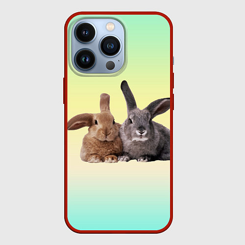 Чехол iPhone 13 Pro Два пушистых кролика / 3D-Красный – фото 1