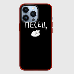 Чехол для iPhone 13 Pro Песец - полярная лисица, цвет: 3D-красный