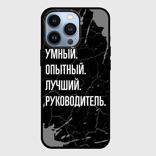 Чехол iPhone 13 Pro Умный опытный лучший: руководитель / 3D-Черный – фото 1