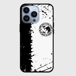 Чехол iPhone 13 Pro The witcher краски текстура
