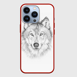 Чехол для iPhone 13 Pro Нарисованный волк зубами щёлк, цвет: 3D-красный
