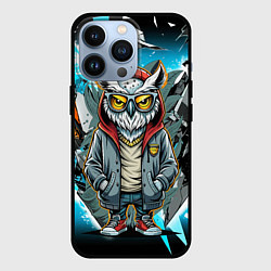 Чехол iPhone 13 Pro Сова в стильной одежде модница