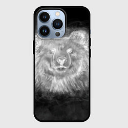 Чехол для iPhone 13 Pro Голова медведя из дыма, цвет: 3D-черный