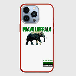 Чехол для iPhone 13 Pro Право либерала, цвет: 3D-красный