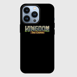 Чехол iPhone 13 Pro Kingdom rpg