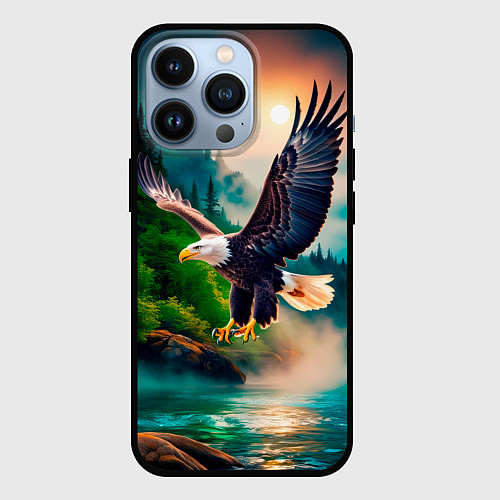 Чехол iPhone 13 Pro Полет орла / 3D-Черный – фото 1