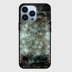 Чехол iPhone 13 Pro Лесной принт