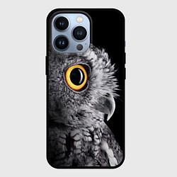 Чехол iPhone 13 Pro Сова - всевидящее око - big picture