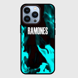 Чехол iPhone 13 Pro Ramones fire rose