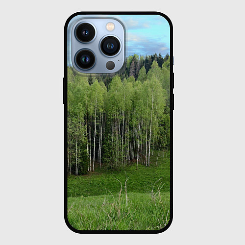 Чехол iPhone 13 Pro Природа России молодые березки / 3D-Черный – фото 1