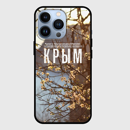 Чехол iPhone 13 Pro Курорт Крым / 3D-Черный – фото 1